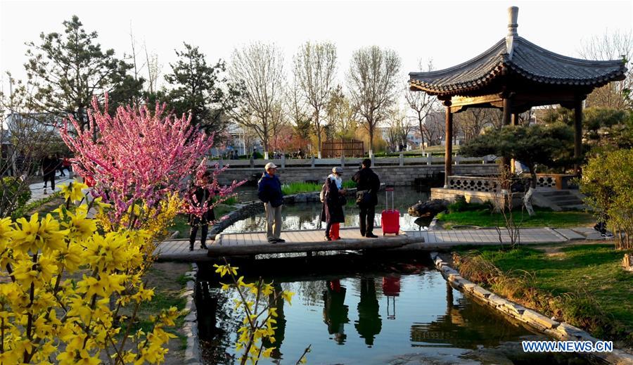 (Beijingcandid)CHINA-BEIJING-SPRING (CN)