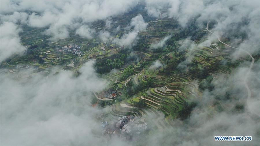 CHINA-GUIZHOU-LIPING-TERRACED FIELDS (CN)