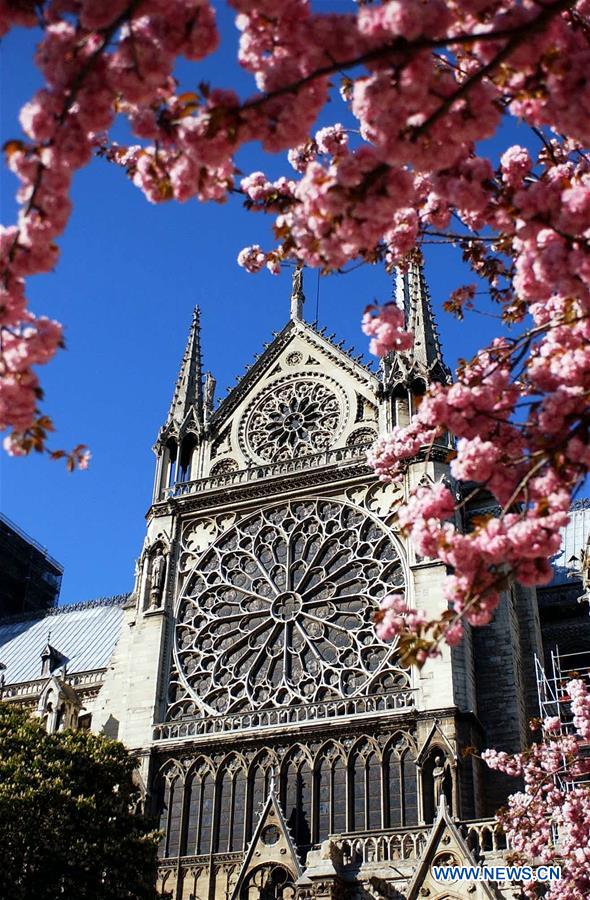 FRANCE-PARIS-NOTRE DAME CATHEDRAL