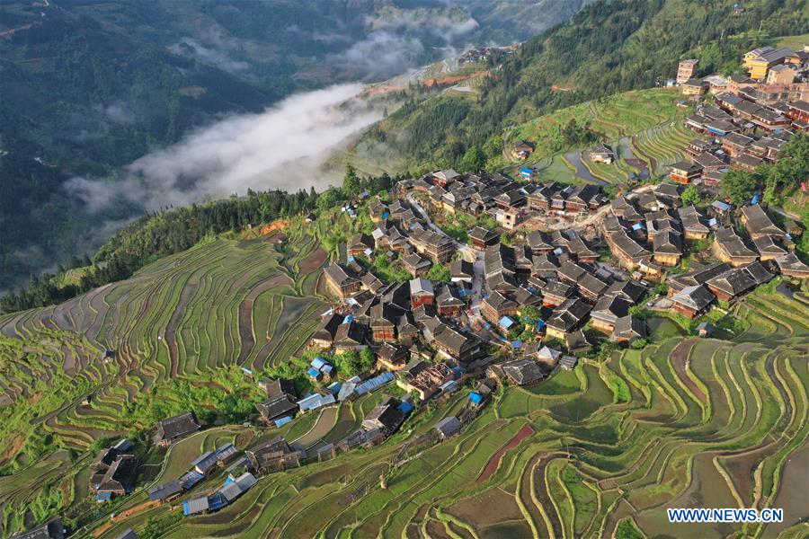 #CHINA-GUIZHOU-TERRACED FIELDS (CN)