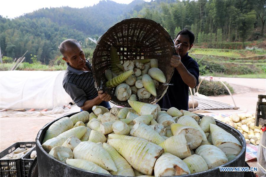 CHINA-GUIZHOU-POVERTY ALLEVIATION (CN)