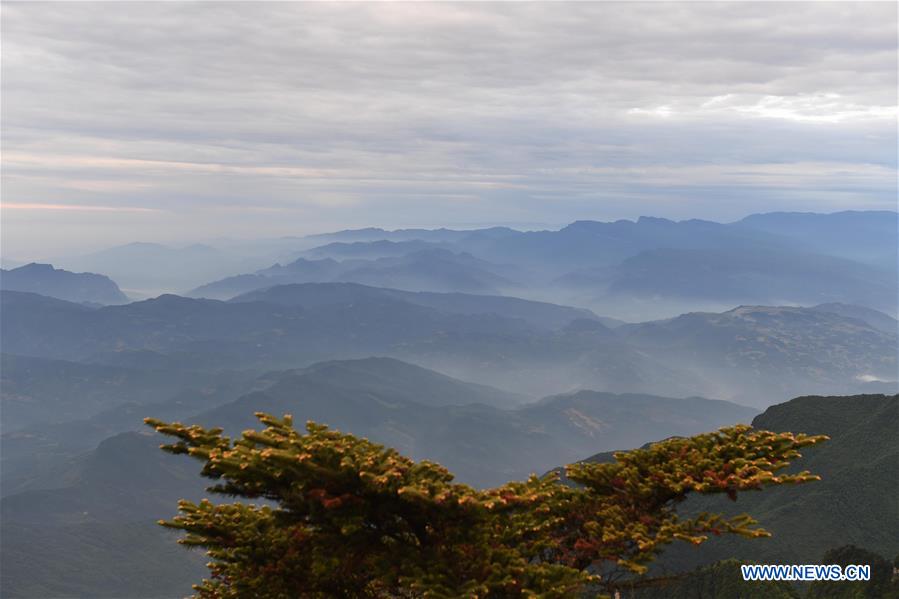 CHINA-SICHUAN-MOUNT EMEI-SCENERY (CN)