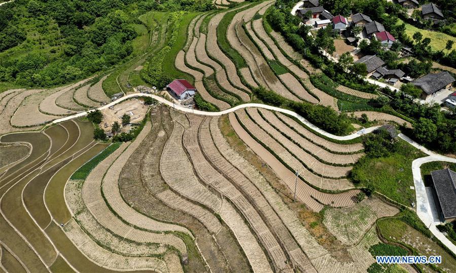 CHINA-SHAANXI-HUANGBAIYUAN-BEAUTY OF NATURE (CN)