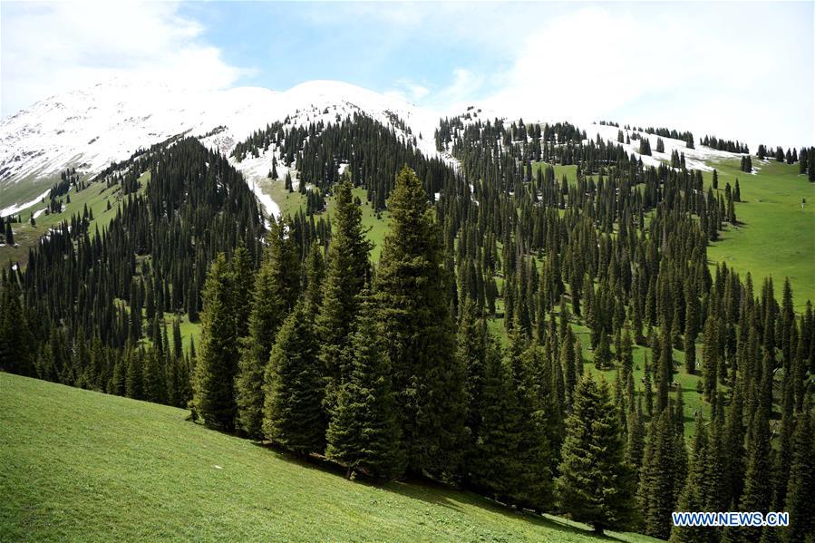 CHINA-XINJIANG-ILI-NARAT GRASSLAND-TOURISM BOOM (CN)