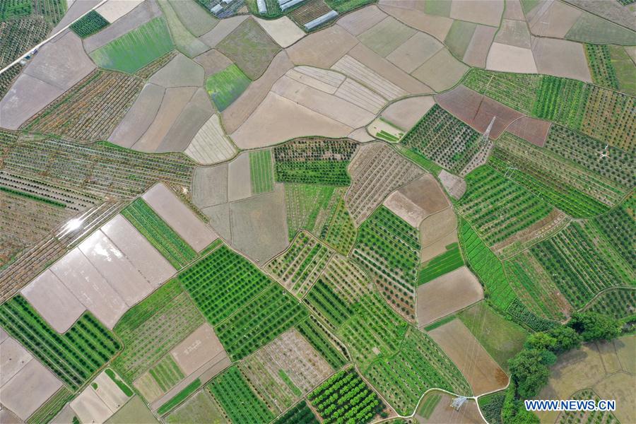 CHINA-GUANGXI-FARMLAND SCENERY (CN)