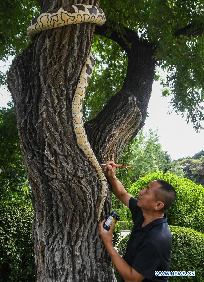 CHINA-JILIN-CHANGCHUN-TREE BARK CARVING AND PAINTING (CN)