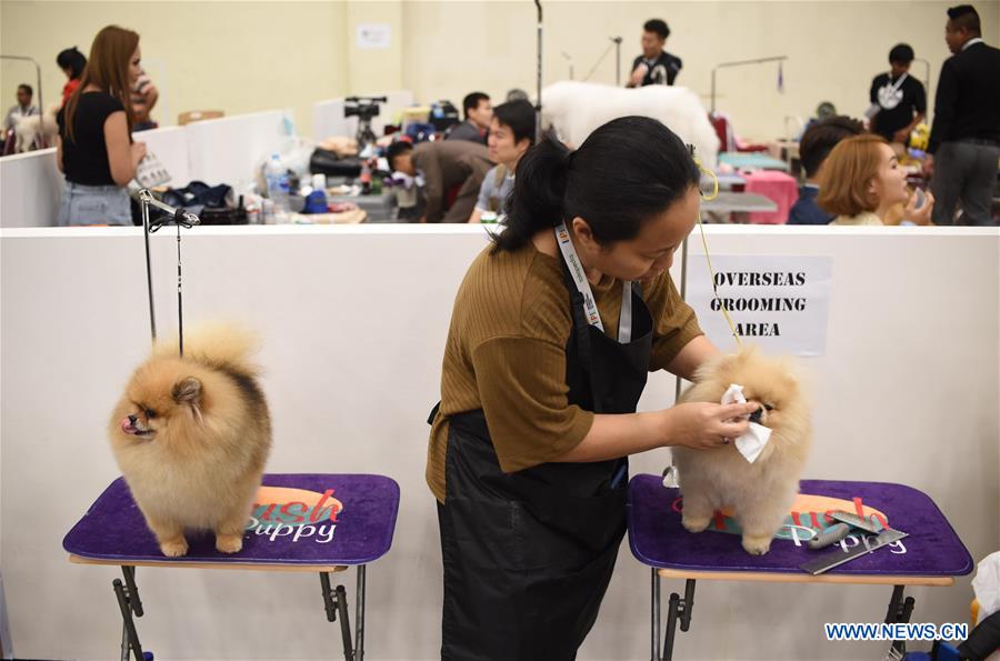 INDONESIA-TANGERANG-INTERNATIONAL PET EXPO