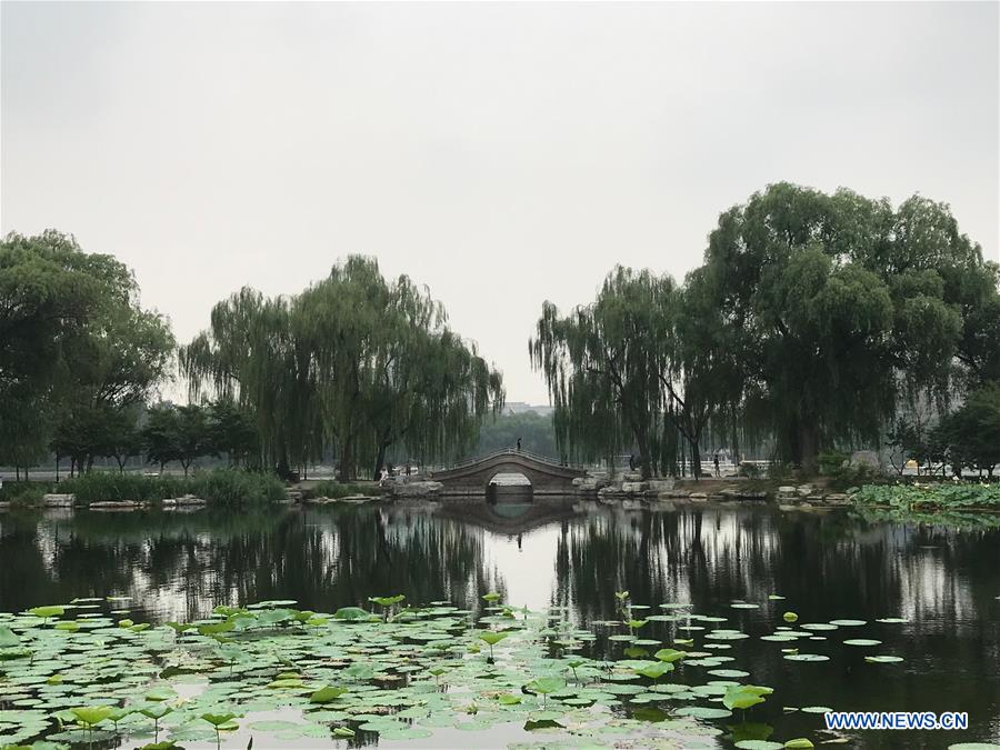 (BeijingCandid)CHINA-BEIJING-SUMMER (CN)