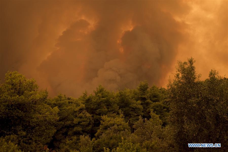 GREECE-EVIA ISLAND-WILDFIRE