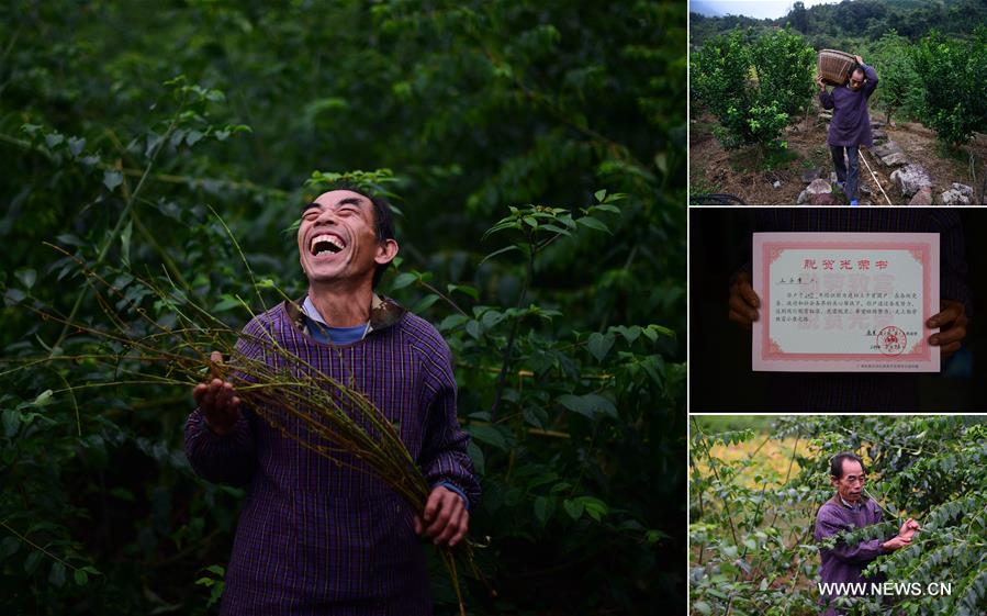 (PORTRAITS)CHINA-GUANGXI-LUZHAI-POVERTY ALLEVIATION (CN)