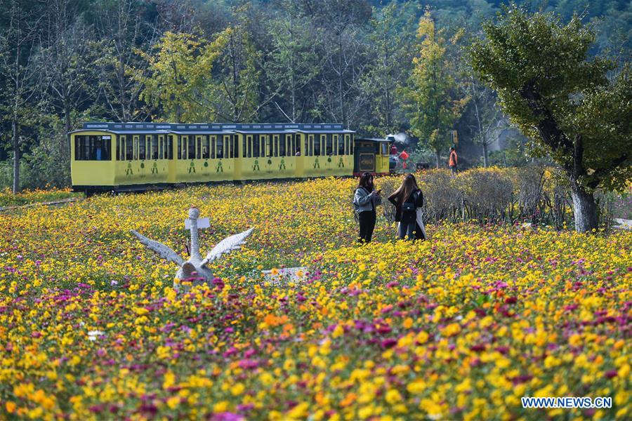 CHINA-ZHEJIANG-CHANGXING-SCENERY (CN)