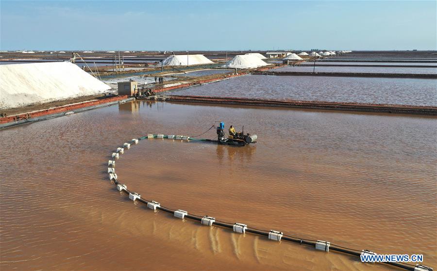 CHINA-HEBEI-CAOFEIDIAN-SALT PAN-AUTUMN-HARVEST (CN)