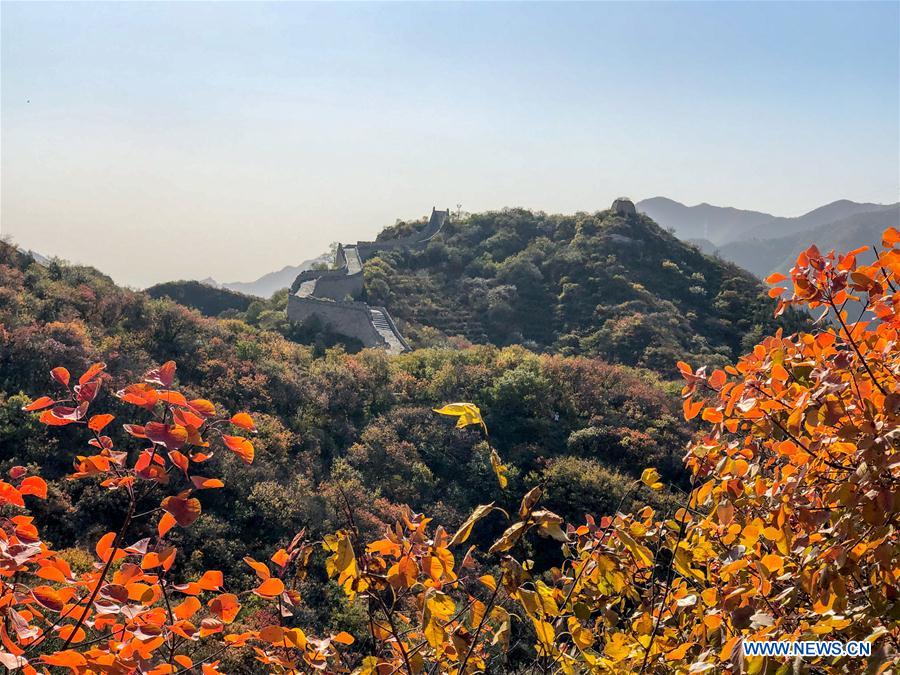 (BeijingCandid)CHINA-BEIJING-AUTUMN (CN)