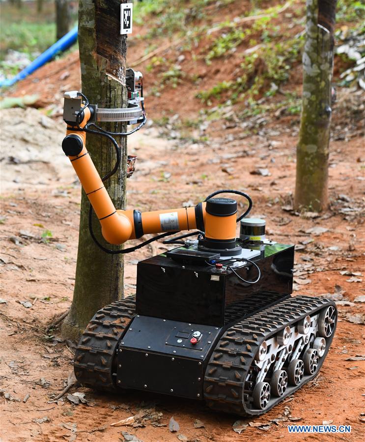 CHINA-HAINAN-RUBBER TAPPING ROBOT (CN)