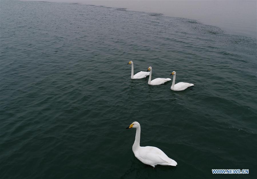 CHINA-SHAANXI-SHENMU-HONGJIANNAO LAKE-SCENERY (CN)