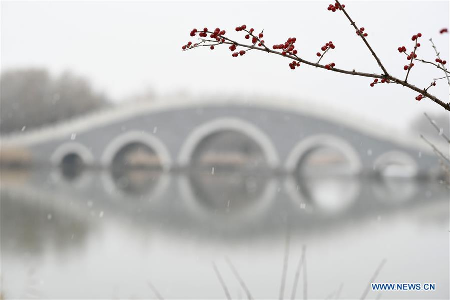 XINHUA PHOTOS OF THE DAY