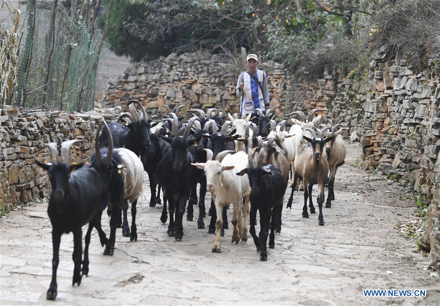 (FOCUS) CHINA-YUNNAN-SHILIN-ANCIENT VILLAGE RENEWAL (CN)