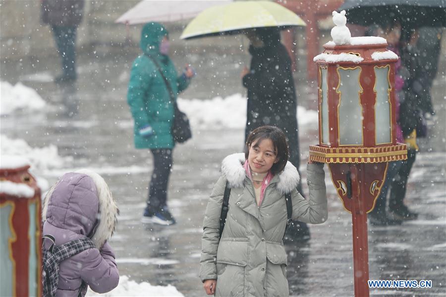 CHINA-BEIJING-SNOWFALL (CN)