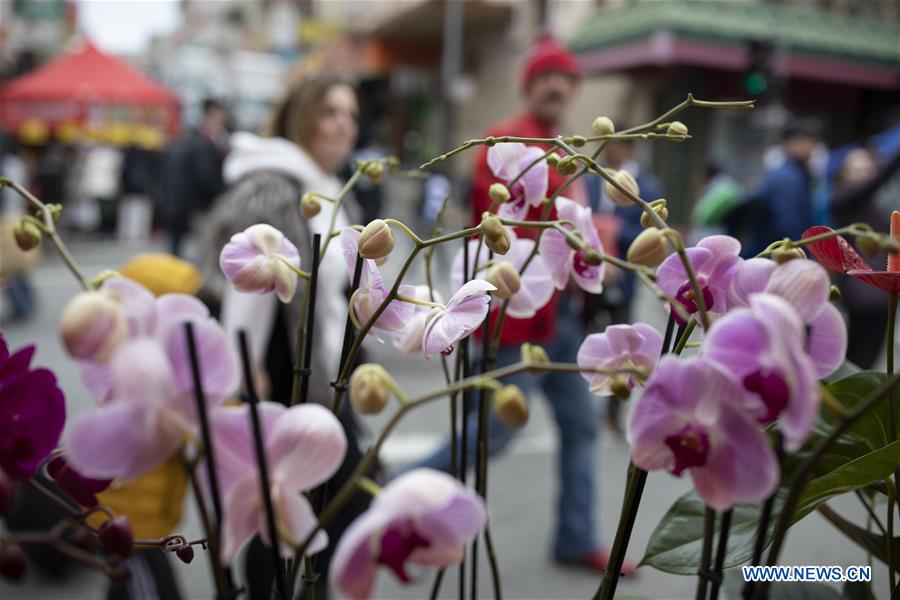 U.S.-SAN FRANCISCO-CHINATOWN-SPRING FESTIVAL FAIR