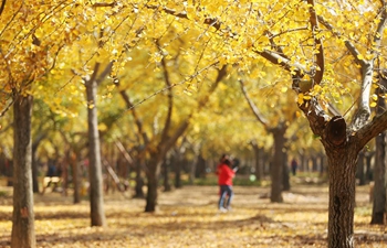 In pics: autumn scenery across China