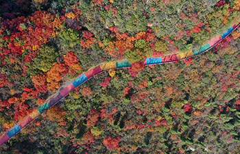 Scenery of red leaves of Changshou Mountain in Zhulin, China's Henan