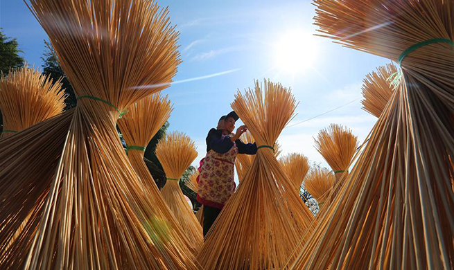 China's Chishui promotes bamboo-related industry to boost locals' income