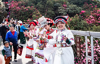 Azalea scenic spot in Bijie City, SW China's Guizhou