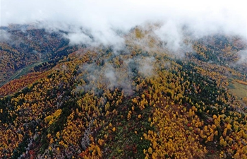 View of Pangquangou nature reserve in north China's Shanxi