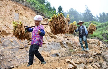 Pic story of couple who bid farewell to poverty in Guangxi village