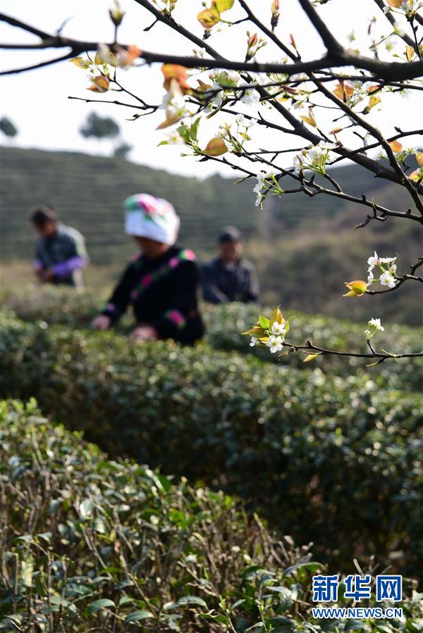 #（经济）（5）春来农事忙