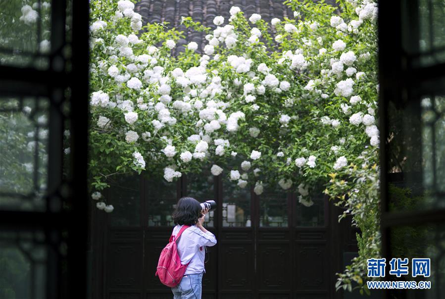 #（环境）（6）花开在四月