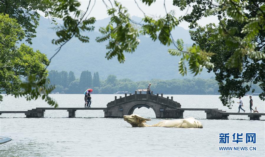 （环境）（3）杭州持续高温天气