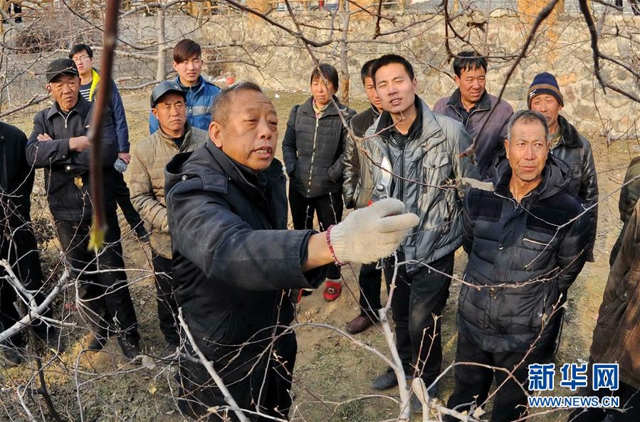 （改革先锋风采·图文互动）（2）李保国：开创山区扶贫新路的“太行山愚公”