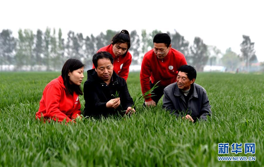 （爱国情 奋斗者·图文互动）（1） “解民生之多艰，育天下之英才”——中国农大师生扎根田野书写奉献之歌