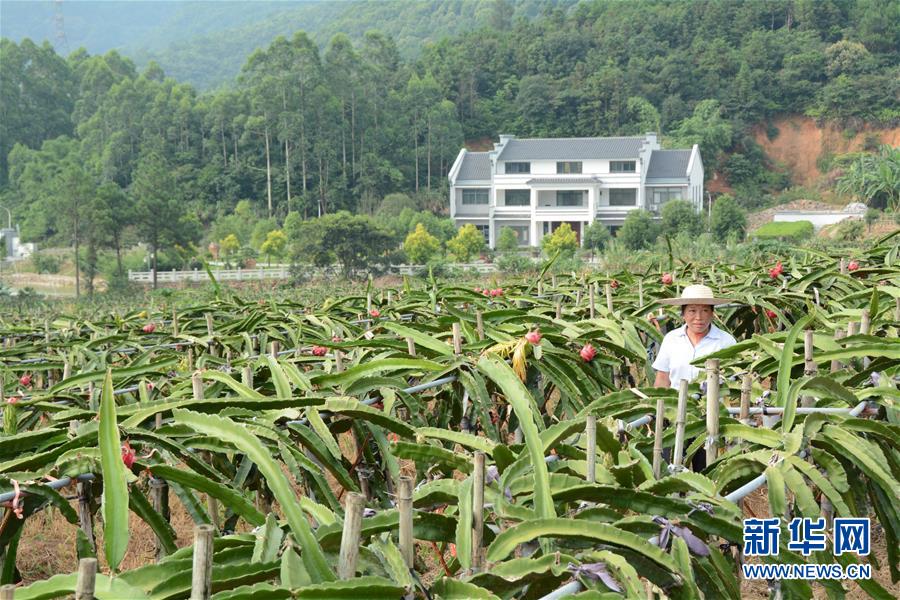 （在习近平新时代中国特色社会主义思想指引下——新时代新作为新篇章·总书记关心的百姓身边事·图文互动）（6）大污染变身“大宝藏”：治理畜禽粪污，他们这样干！