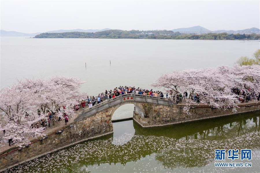 （新华全媒头条·图文互动）（8）大湖见证——长三角三大淡水湖绿色发展之路