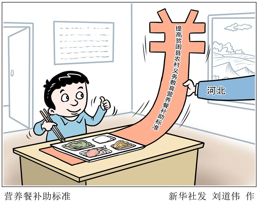 （图表·漫画）［教育］营养餐补助标准