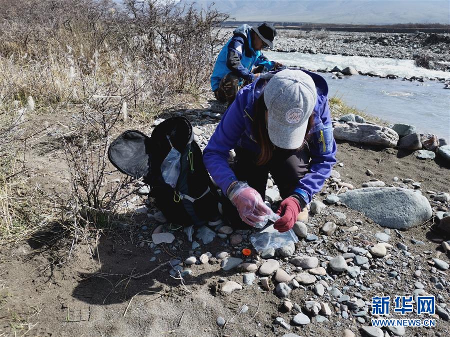 （图文互动）（2）祁连山国家公园首个荒漠猫专项调查取得阶段性成果