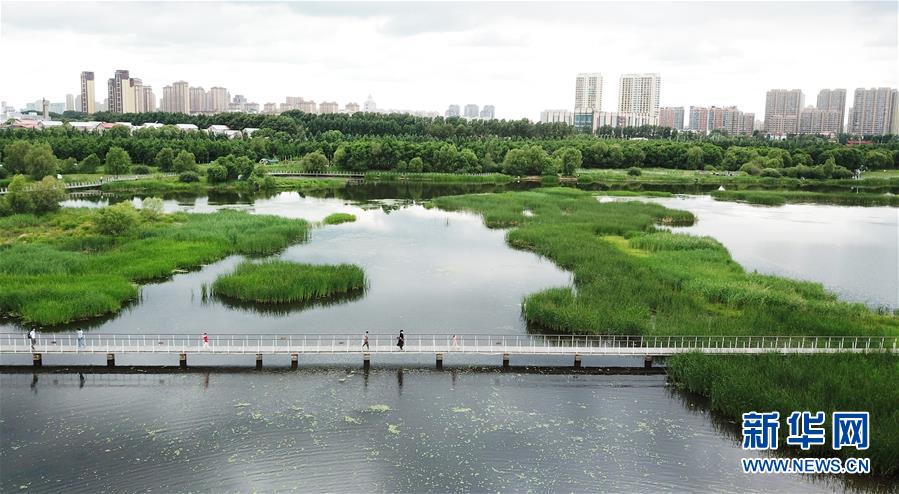 （走向我们的小康生活·图文互动）（1）水清、地绿、空气新——最北省份黑龙江绘就生态治理新画卷