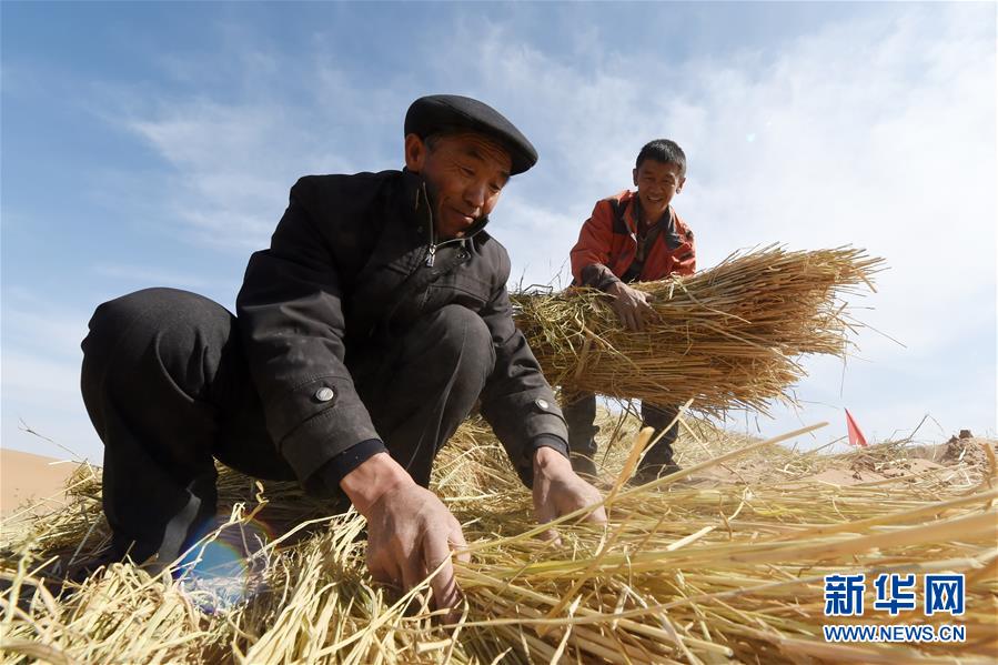 （在习近平新时代中国特色社会主义思想指引下——新时代新作为新篇章·习近平总书记关切事·图文互动）（5）绿色映底蕴，山水见初心——生态优先、绿色发展持续造福群众美好生活