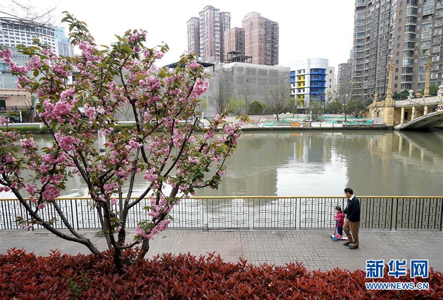 （新华全媒头条·走向我们的小康生活·图文互动）（12）城市，让人民生活更美好