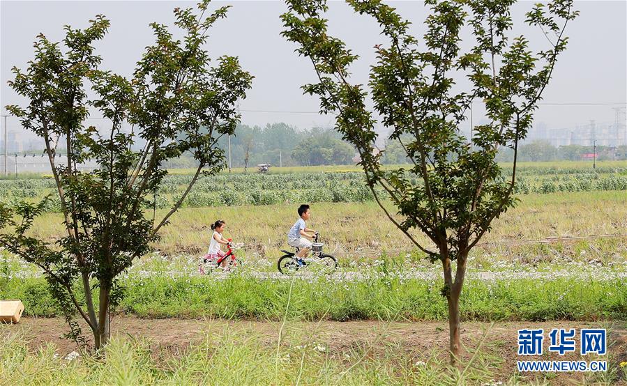 （新华全媒头条·走向我们的小康生活·图文互动）（14）城市，让人民生活更美好