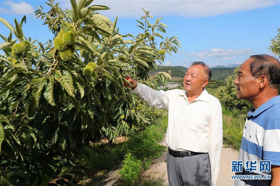 （新华全媒头条·走向我们的小康生活·图文互动）（11）长城脚下，小康村串成“珍珠链”