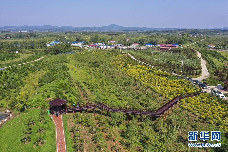 （新华全媒头条·走向我们的小康生活·图文互动）（16）黑土地上是我家——在吉林，一瞥中国东北乡村美丽未来