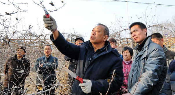 “赶路”在太行山上——追寻新时期共产党人的楷模李保国的生命足迹