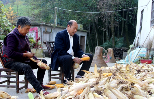 十九大代表陈分新：鼓足干劲 振兴乡村