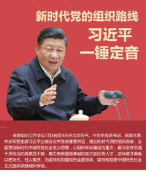 新时代党的组织路线 习近平一锤定音