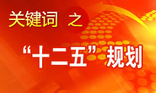 张平：“十二五”规划实施的总体情况是好的