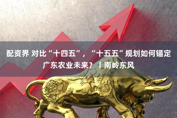 配资界 对比“十四五”,“十五五”规划如何锚定广东农业未来?丨南岭东风