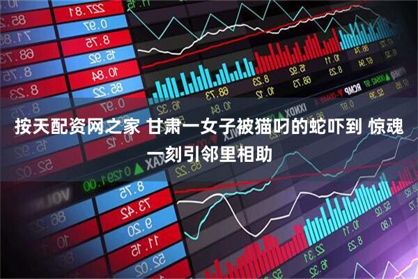 按天配资网之家 甘肃一女子被猫叼的蛇吓到 惊魂一刻引邻里相助